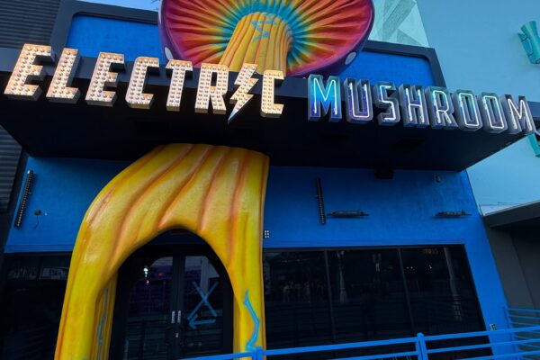 522296817_18514423963047958_807552441303776757_n