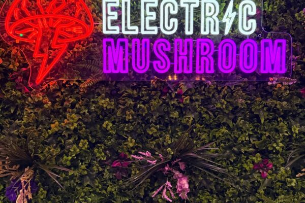 523892838_18514423975047958_1877122940622204863_n