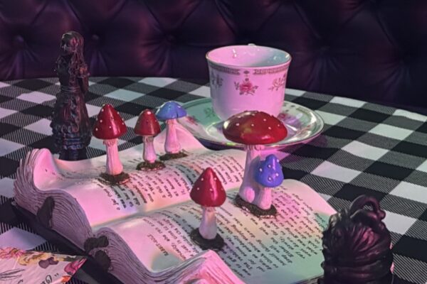 564067203_18533953222004420_6540528674909964076_n